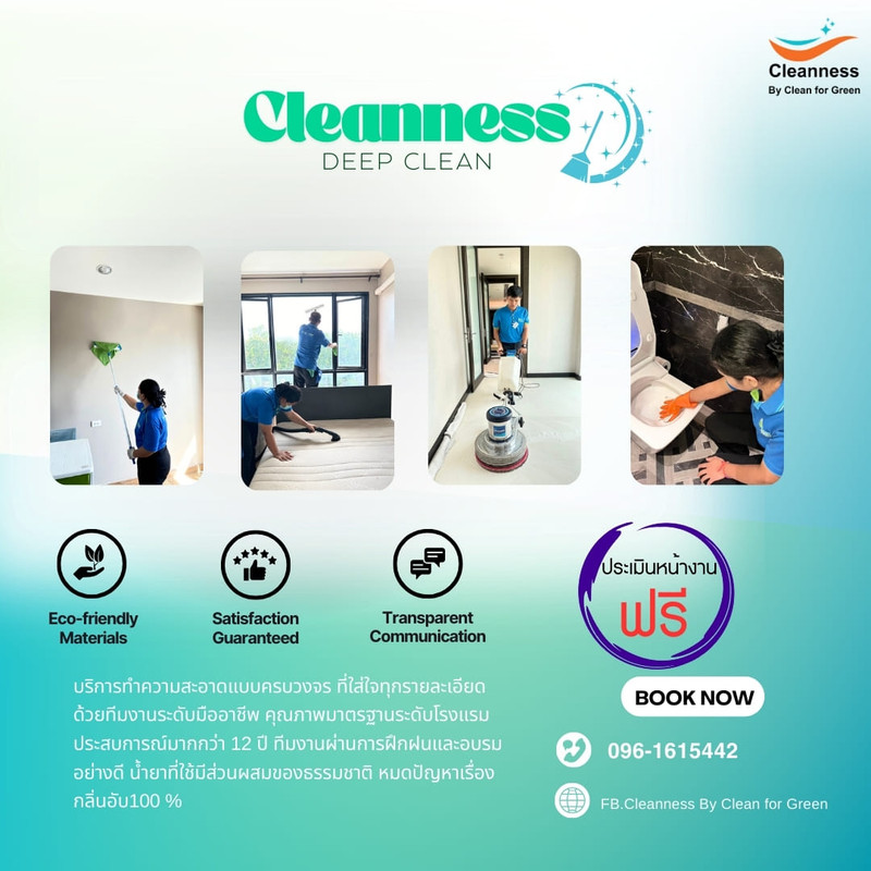 Cleanness Professional Services